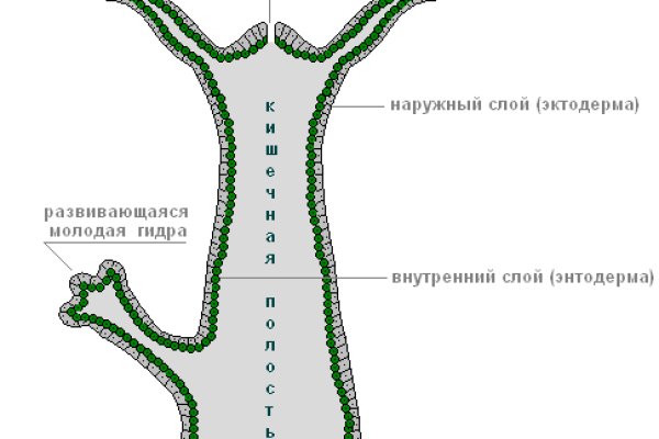 Купить бошки марихуаны